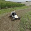 dji_0861 mittel